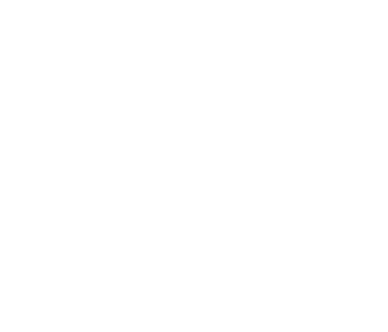Optica Loisas